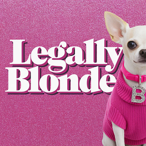 MagicFox logo for Legally Blonde Broadway musical keyboard programming